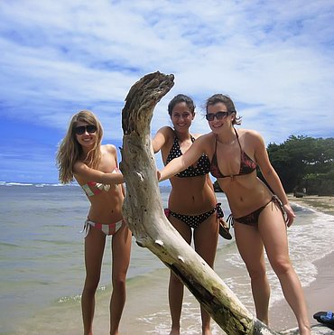 Giant beach tits