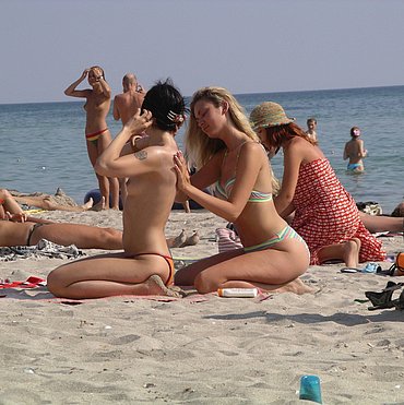 Young chicks at the beach